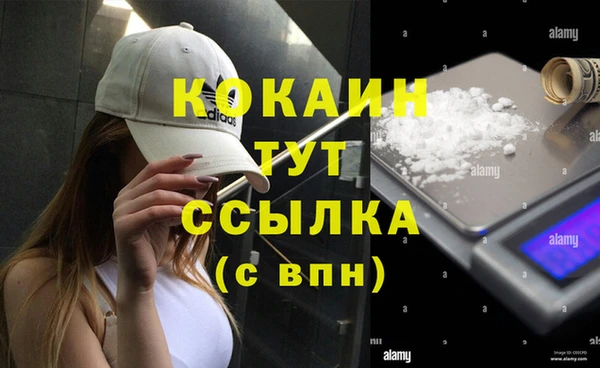 амф Остров