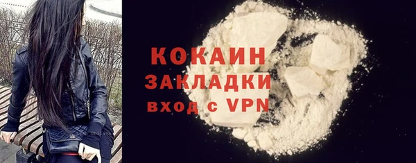 молекула духа Пересвет