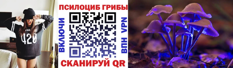 купить закладку Гурьевск Псилоцибиновые грибы ЛСД