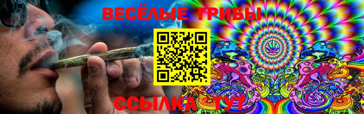 Гурьевск  Псилоцибиновые грибы ЛСД  Вход с VPN 