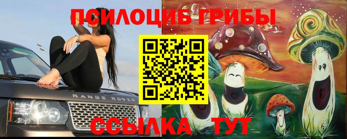 Псилоцибиновые грибы мухоморы  Гурьевск  Галлюциногенные грибы Cubensis 