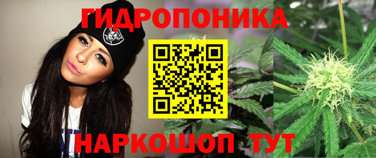Гурьевск  Бошки Шишки MAZAR  Вход с VPN  Канабис VHQ  Каннабис Amnesia 